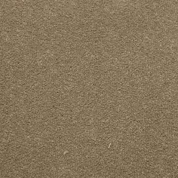 Kuster beige